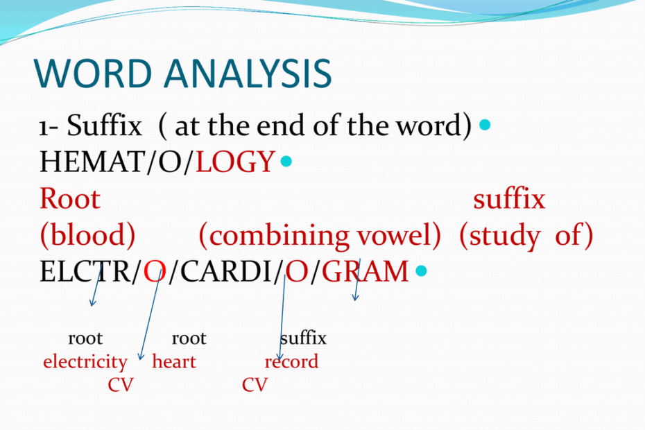 Medical Terms Suffix And Prefix