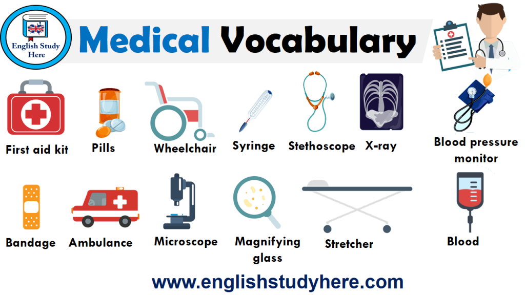 Medical Vocabulary English Study Here