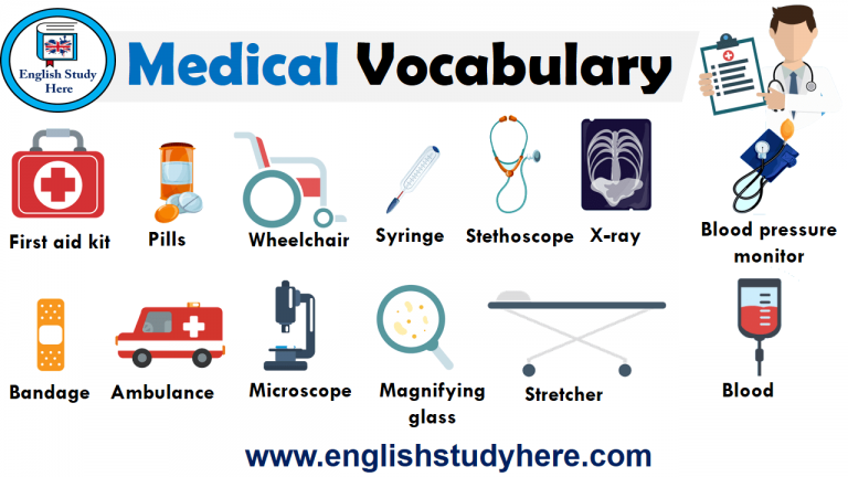 Medical Vocabulary With Pictures Archives English Study Here