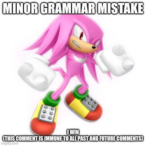 Minor Grammar Mistake Memes Imgflip
