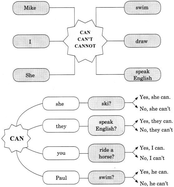 Modals Exercises For Class 7 With Answers