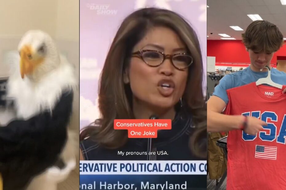 My Pronouns Are USA Know Your Meme