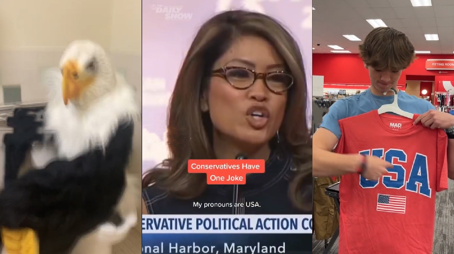 My Pronouns Are USA Know Your Meme