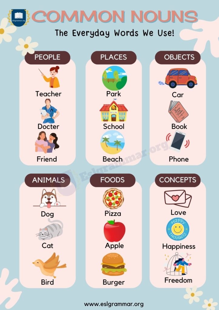 Nouns Types Of Nouns With Definition Rules Useful Examples ESL 