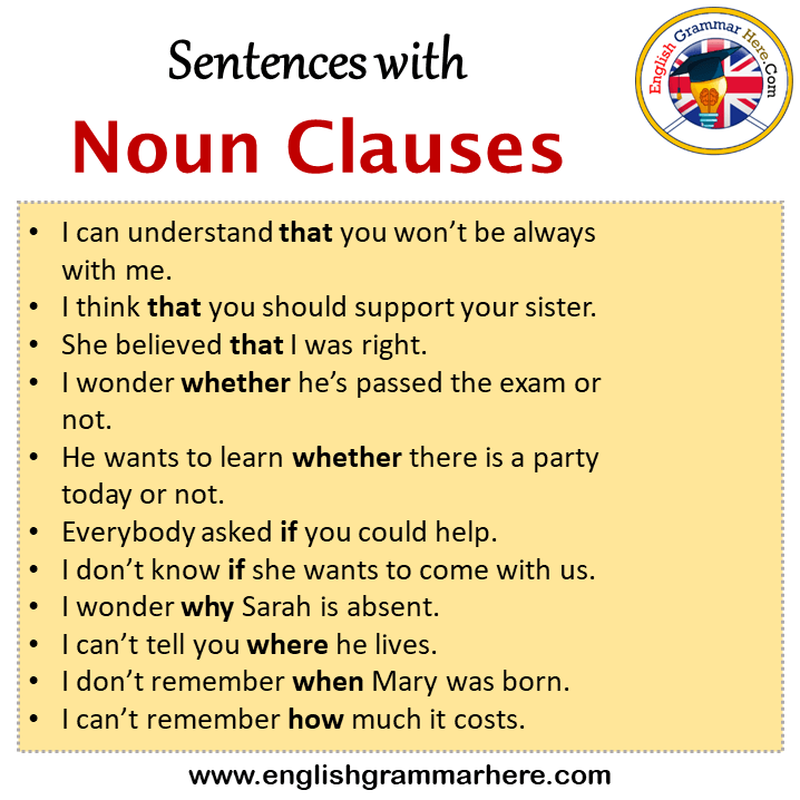 Novice Definition Noun
