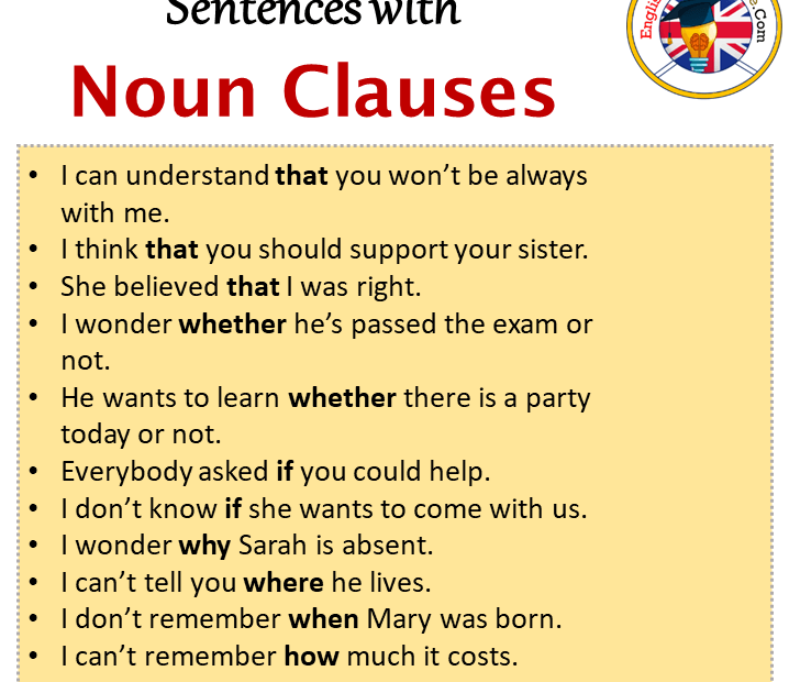 Novice Definition Noun