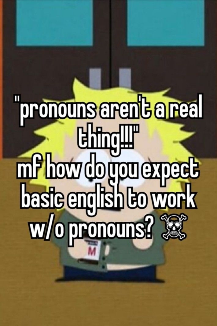 Okay Not Every Pronoun Is Valid the Ones That Mock Prns But Still 