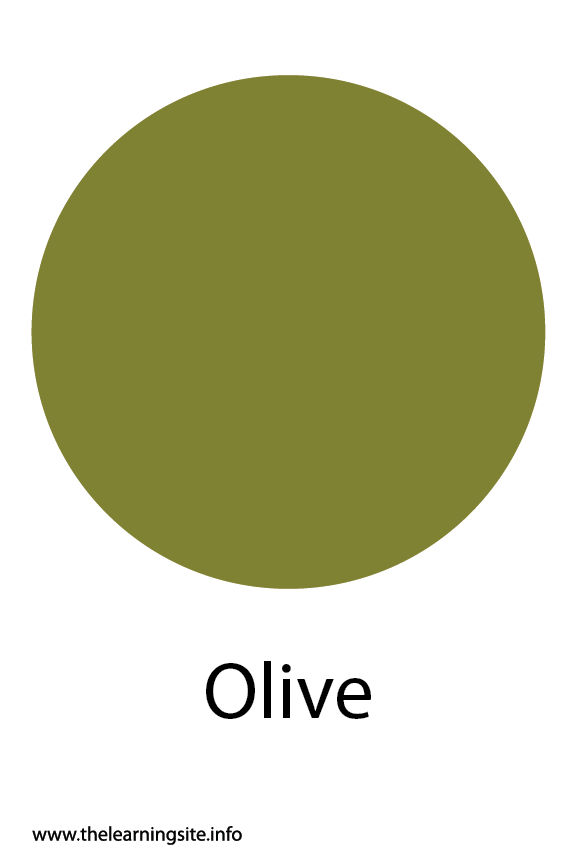 Olive Color Flashcard The Learning Site
