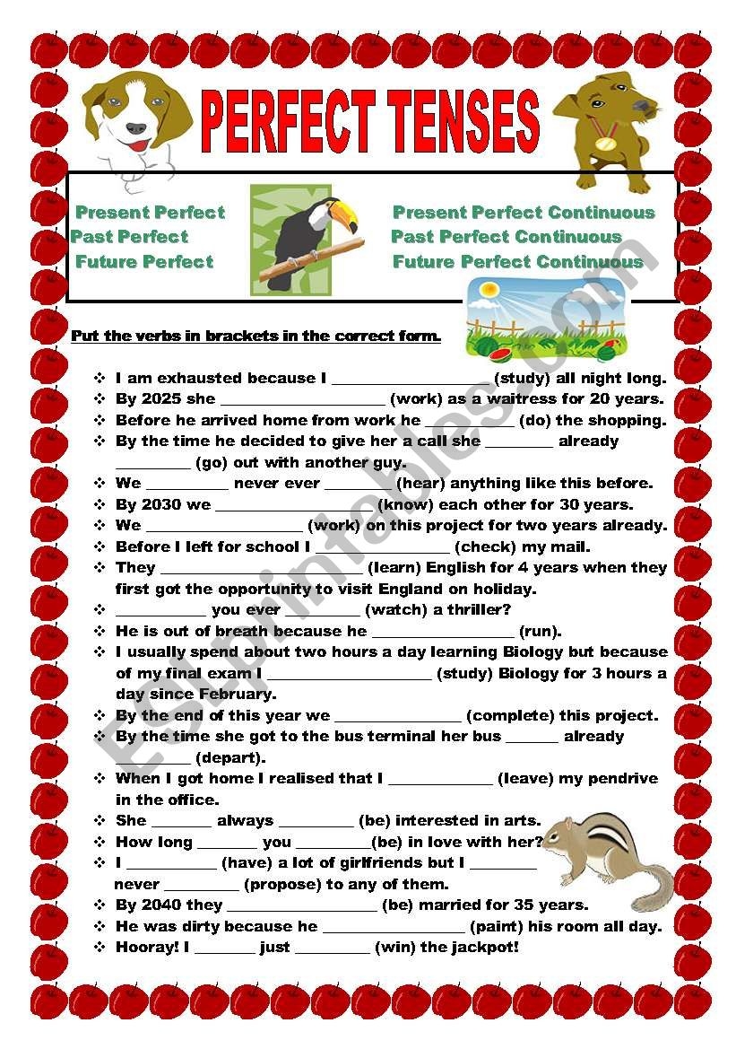 Past And Perfect Tenses Exercises