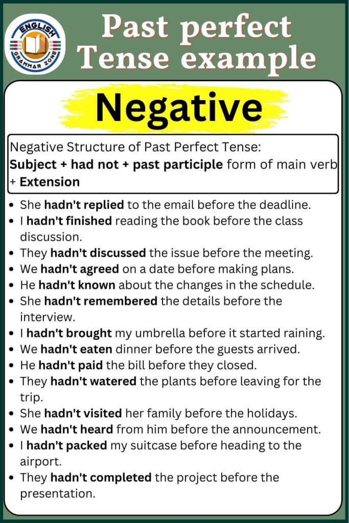 Past Perfect Tense Negative Examples
