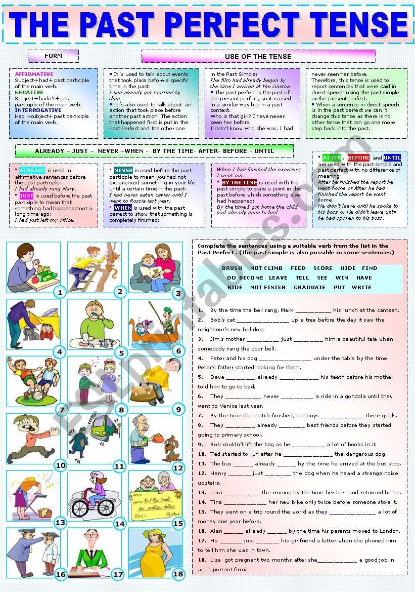 past and perfect tense worksheet