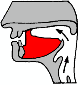 Phonetics What Is The Difference Between Sibilant Sounds In Polish 