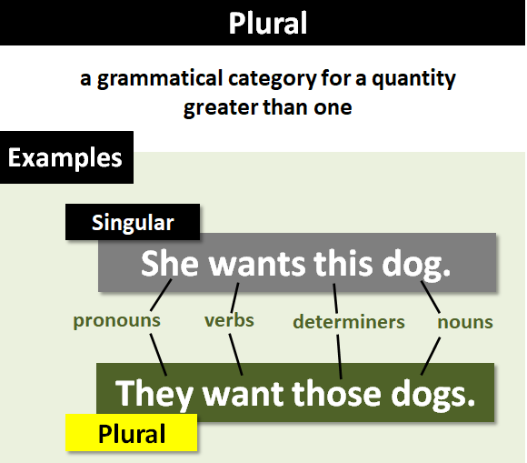 Plural Explanation And Examples