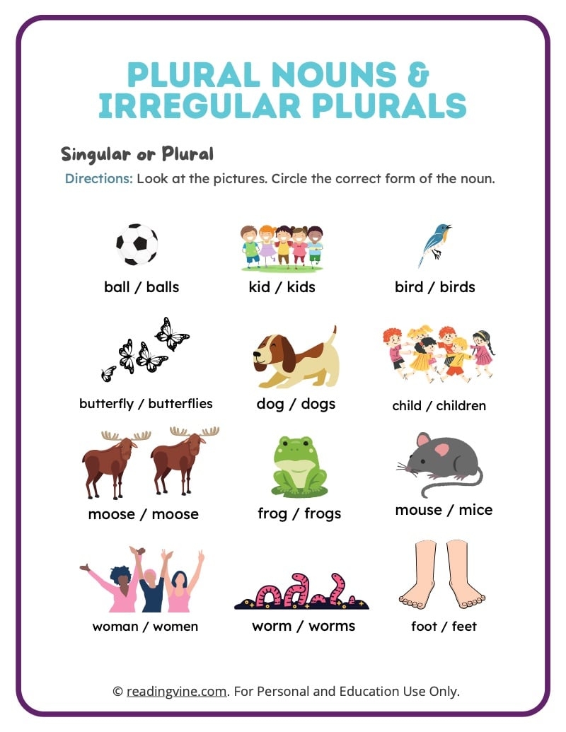 Plural Irregular Plural Nouns Worksheets ReadingVine