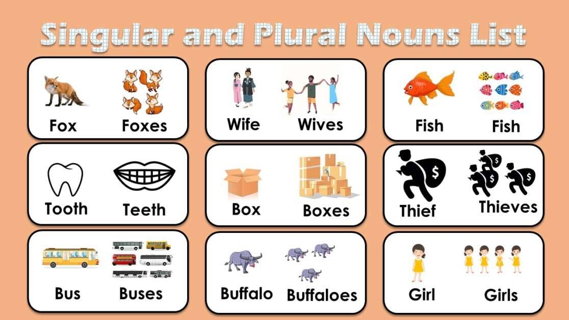 Plural Noun And Singular Noun