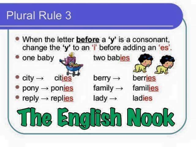 Plural Rules English Grammar Vocabulary Home