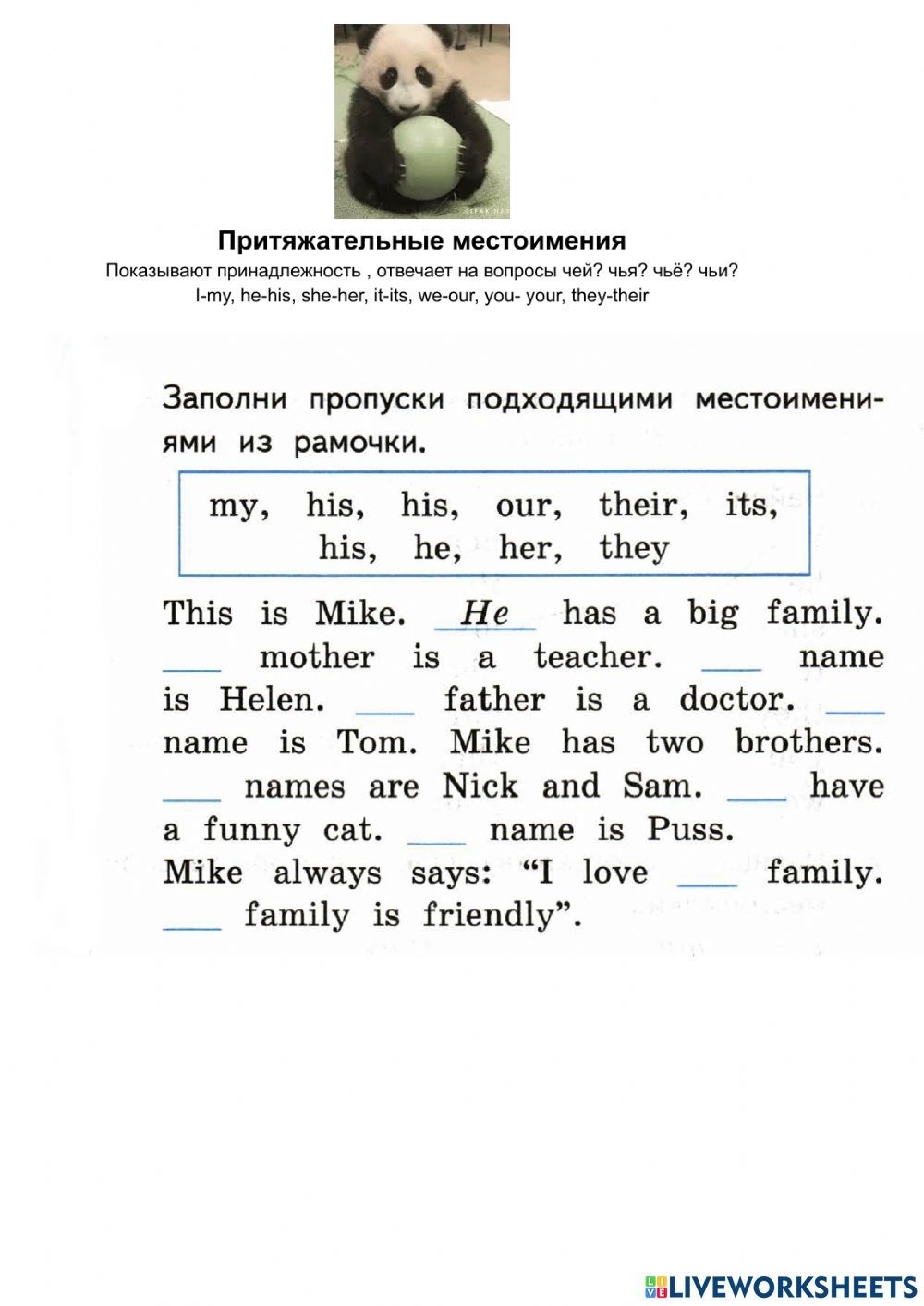 Posessive Pronouns My His Her Our Its Your Their Worksheet 2nd 