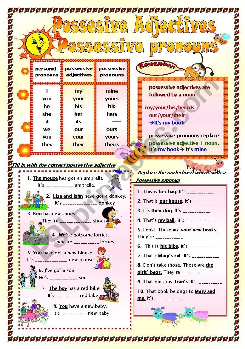 possessive and pronouns
