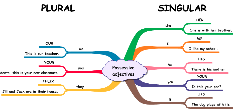 Possessive Adjectives Games To Learn English