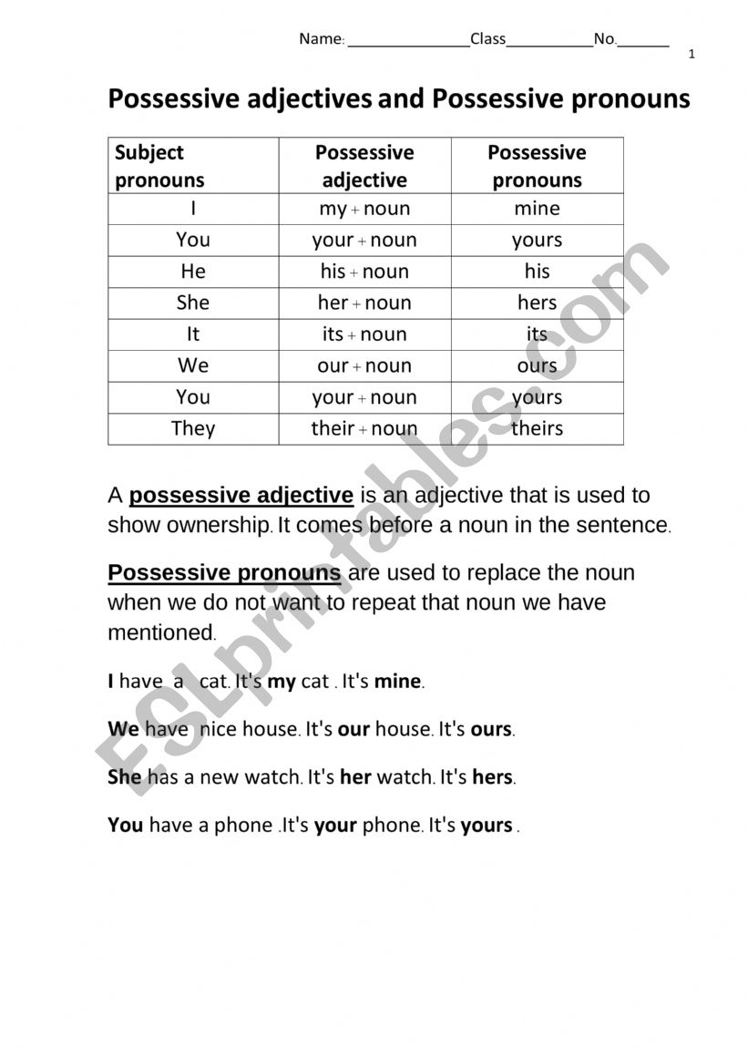 Possessive Pronouns Printable