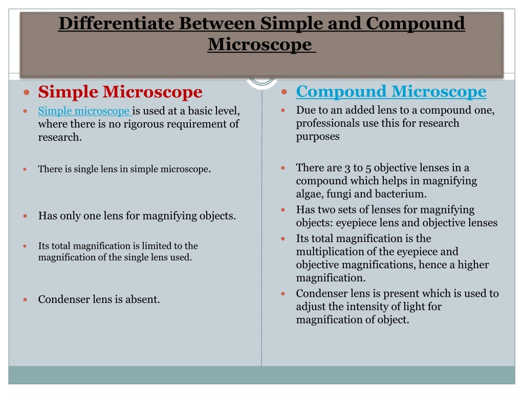 PPT Difference Between Simple And Compound Microscope PowerPoint 