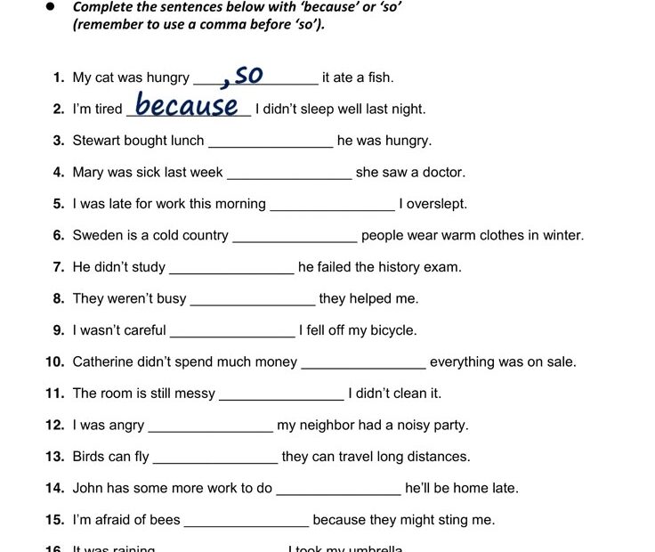 Practice English Grammar Exercises