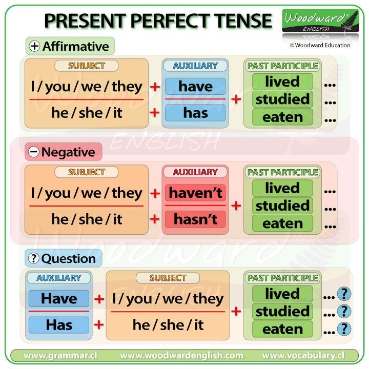 Present Perfect Tense Word Order Chart