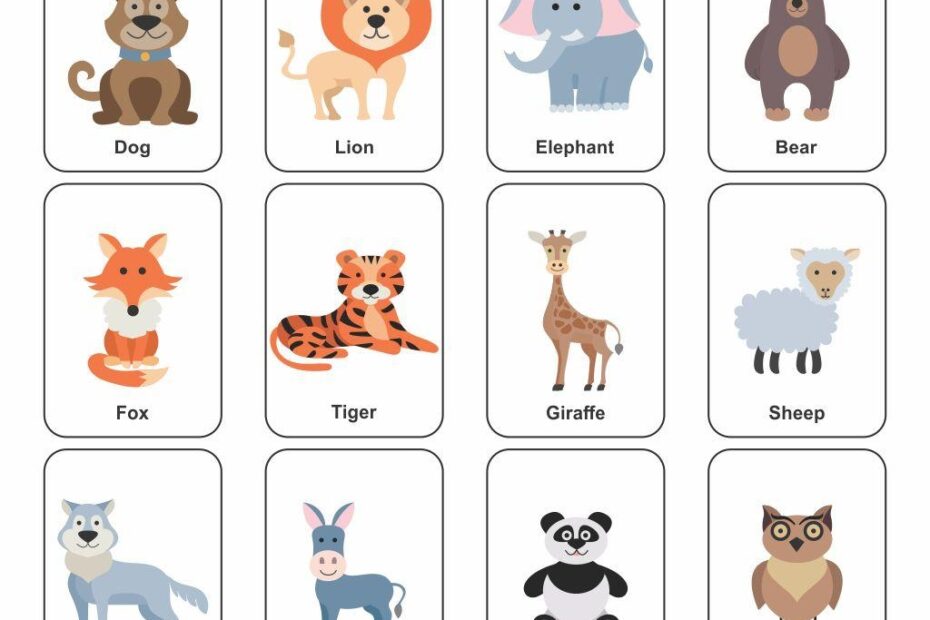 Printable Animal Flash Cards Gridgit