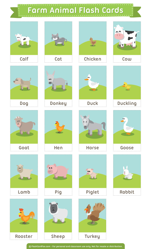 animals flash cards printable animals flash cards printable