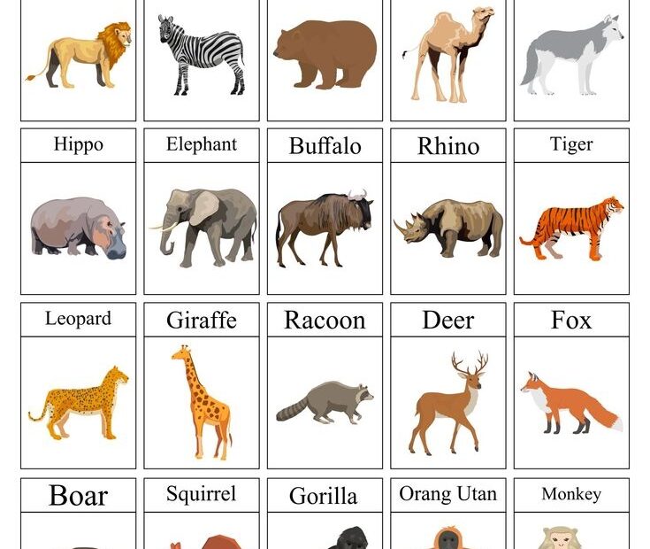 Printable Wild Animal Flash Cards