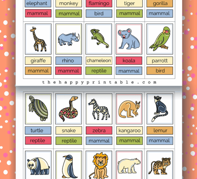 Printable Zoo Animal Flashcards The Happy Printable