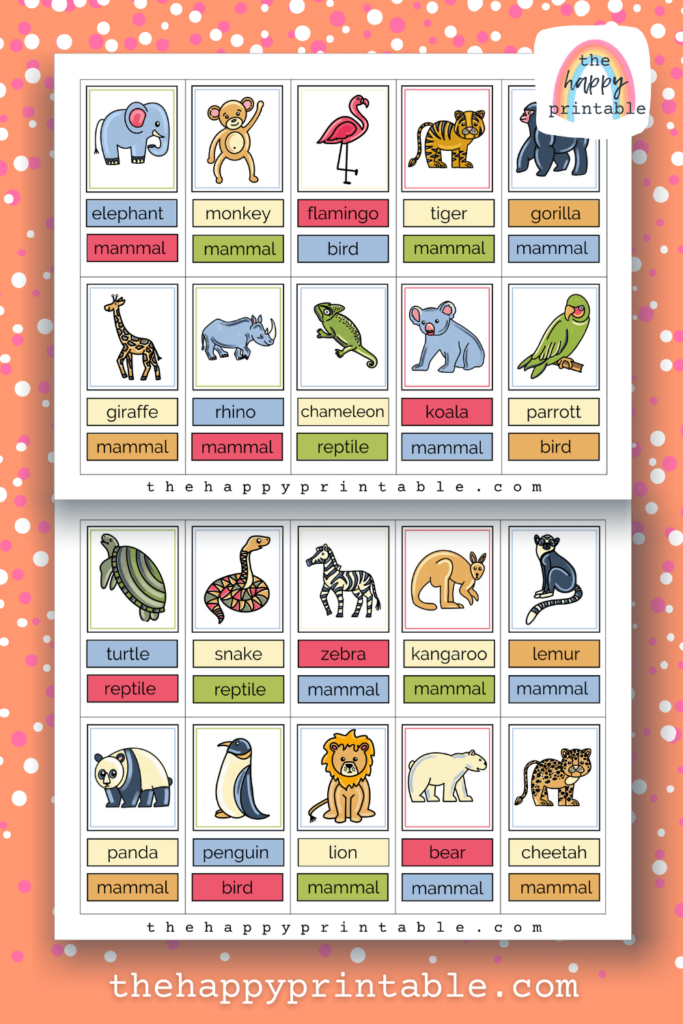Printable Zoo Animal Flashcards The Happy Printable