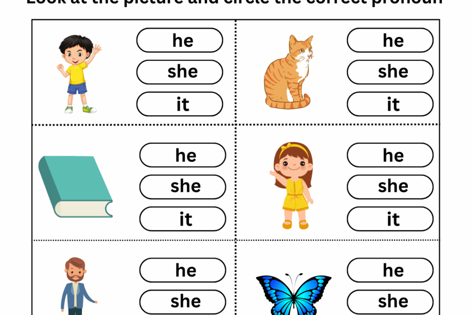 Pronoun Worksheets For Grade 1 2 3 Worksheets Library