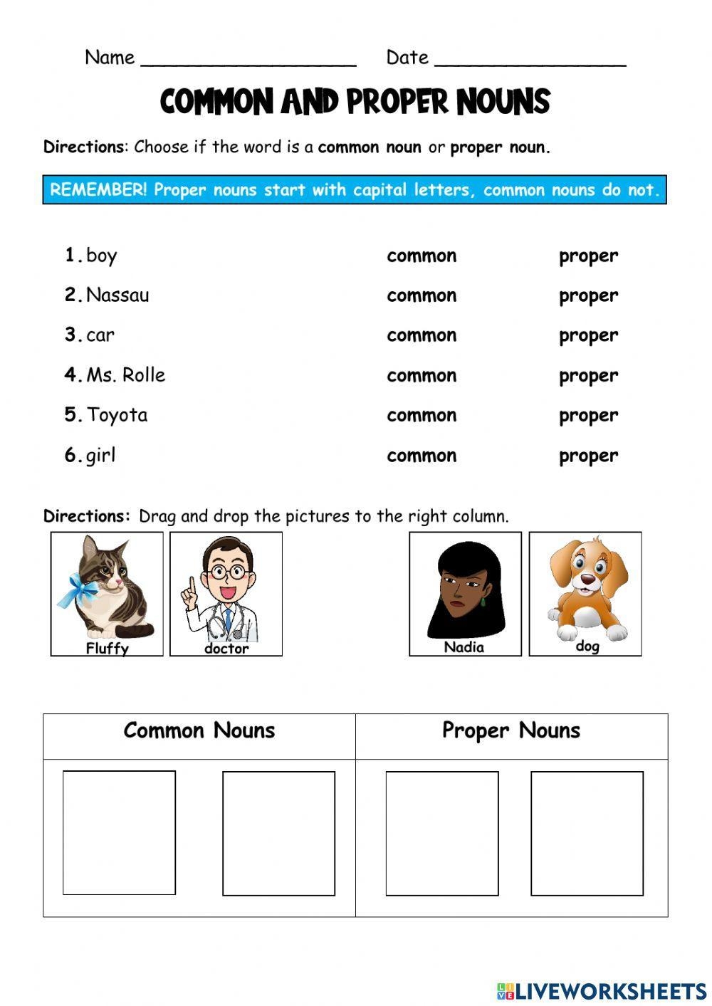 Proper And Common Noun Sort Worksheet teacher Made Worksheets Library