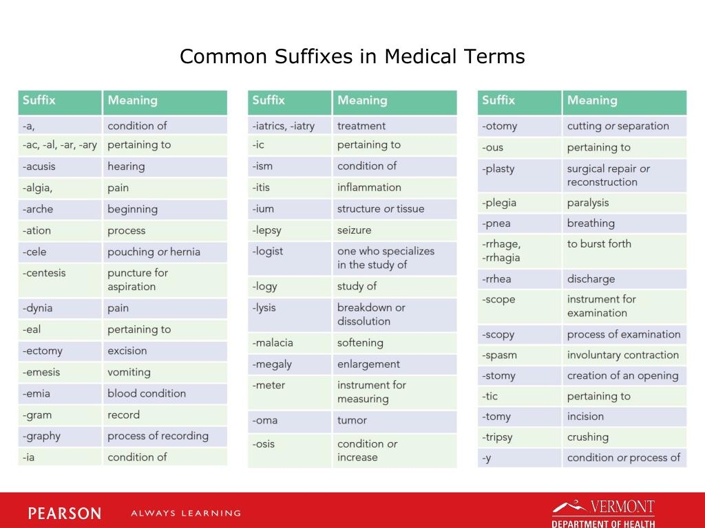 Red Medical Term Suffix At Guy Estrada Blog