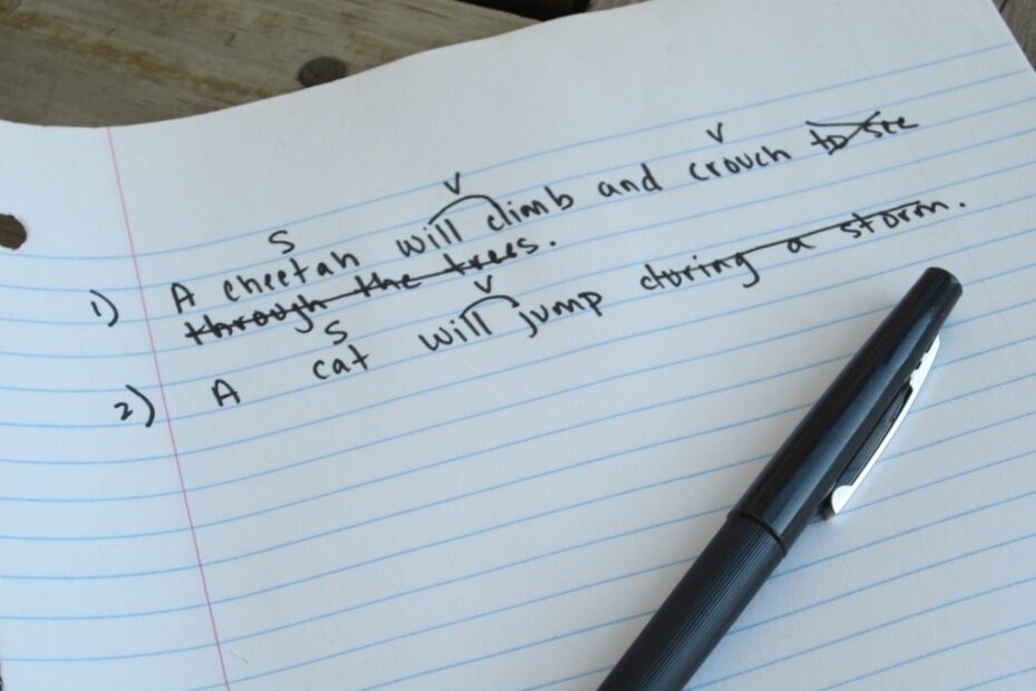 Run A Quick Sentence Grammar Check Sentence Correction