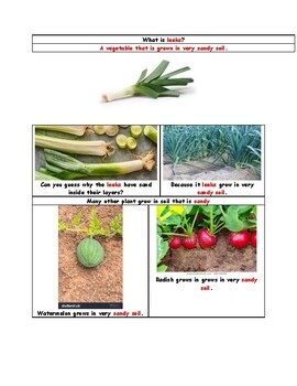 Sand Study Vocabulary Words 13 By Ms BEN Creative Curriculum TPT