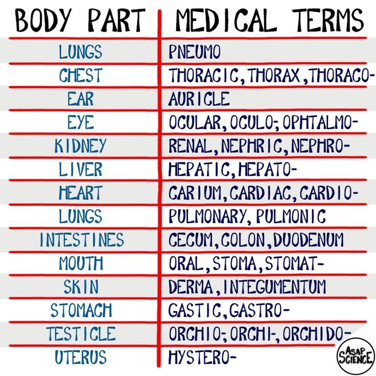Simple Medical Terminology List
