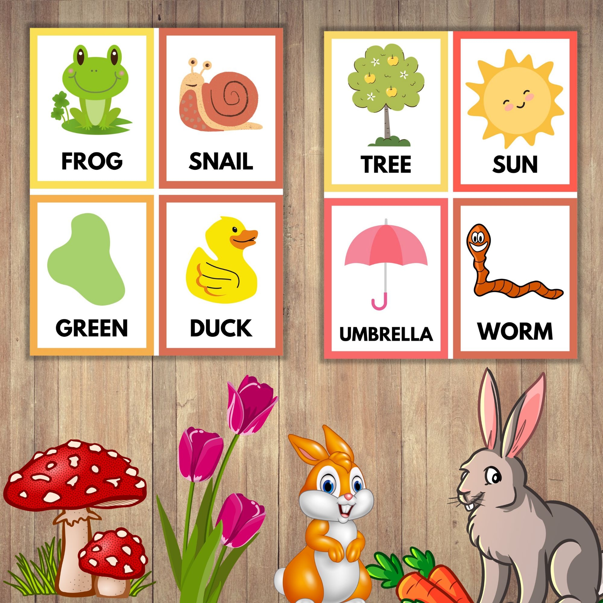 Spring Vocabulary Cards Flashcards Spring Vocabulary Vrogue co