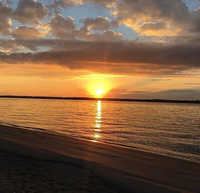 Strong CV Verbs Action Verbs Cv Words Best Blogs