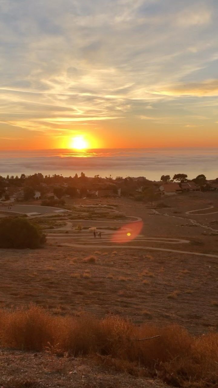 Strong Cv Verbs Artofit