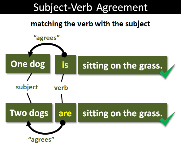 Subject Verb Agreement