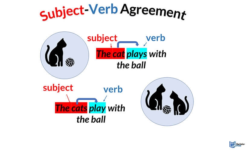 Subject Verb Agreement Examples Sale Store Ids deutschland de