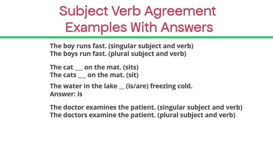 subject verb agreement examples sentences