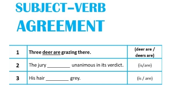 Subject Verb Agreement Quiz Test With Answers Online Attempts 
