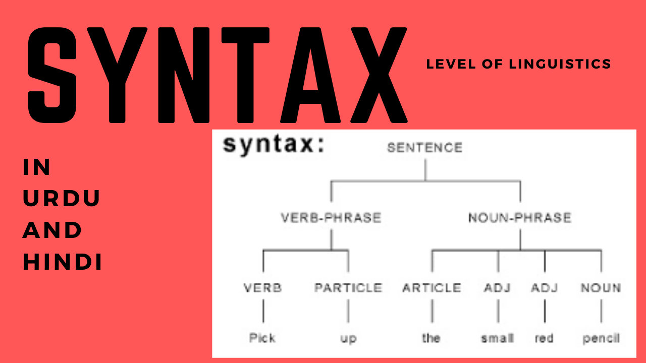 Syntax Grammar Vs Syntax Types Of Sentence Level Of Linguistics 