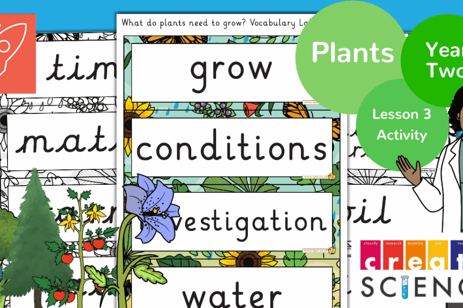 Teacher 39 s Pet What Do Plants Need To Grow Vocabulary Cards