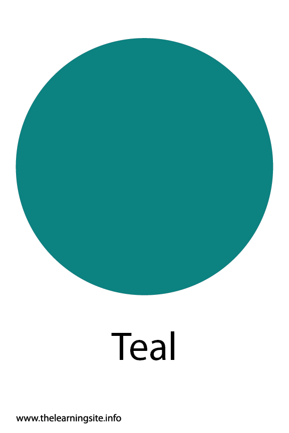 color flashcard color flashcard