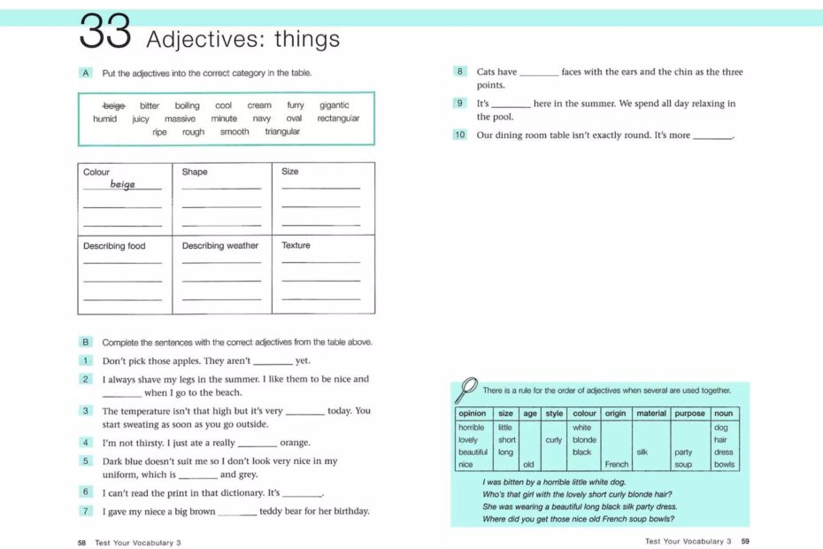 Test Your Vocabulary PPT