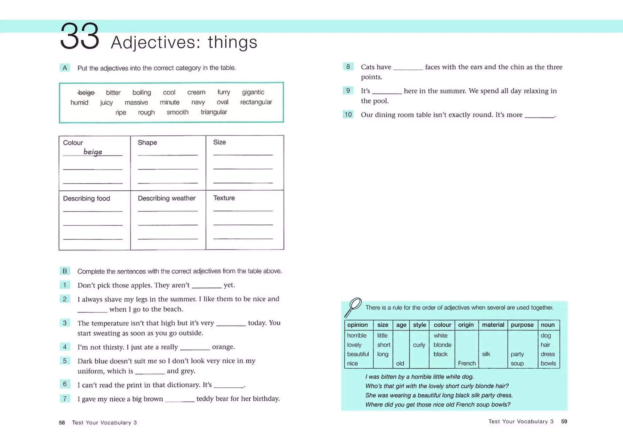 Test Your Vocabulary PPT